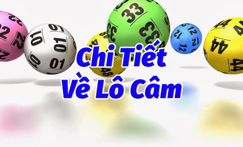 lo cam