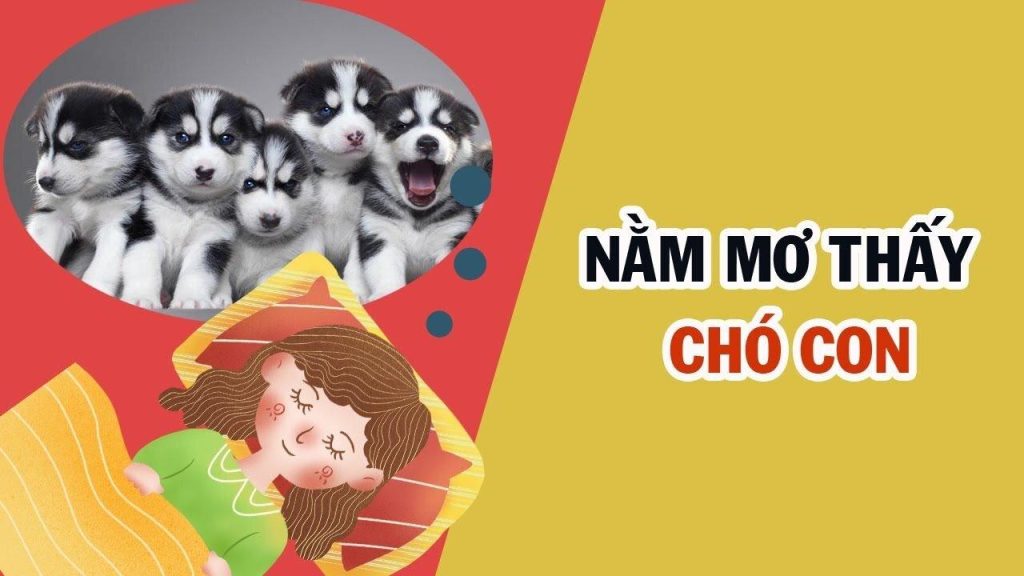 nam mo thay cho